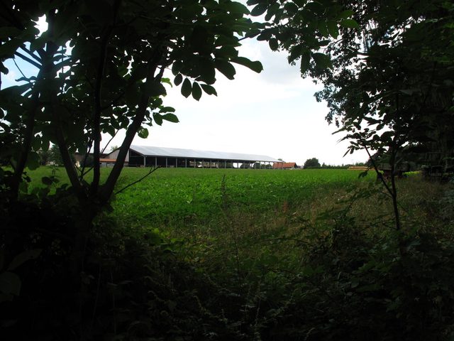 Ernsthofsiedlung