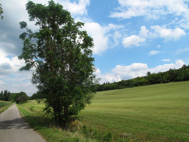 Beim Bildstock im Wolkenbrunnen
