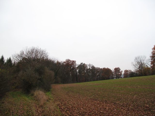 Am Galgenfeld (rechts)