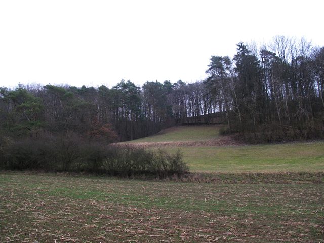 Blick zu einem Graben, der aus Richtung Buch ins Gollachtal runterzieht