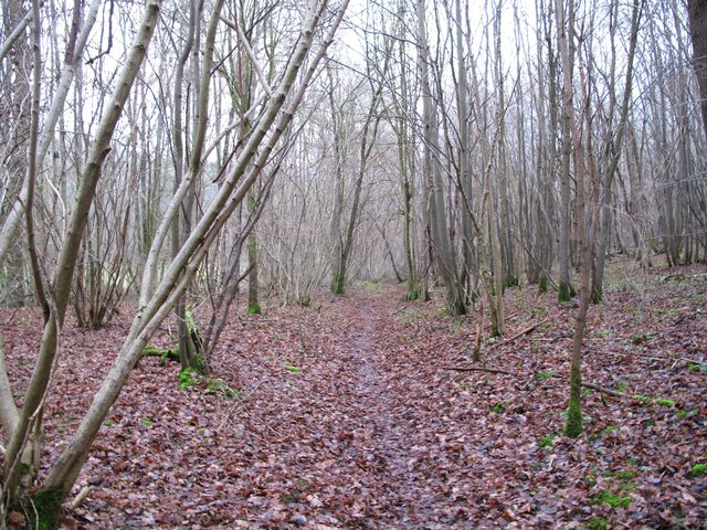 Im Grafenschlag - Der Weg zur Teufelsschmiede