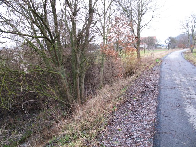 Auf dem Gaubahn-Radweg bei Burgerroth