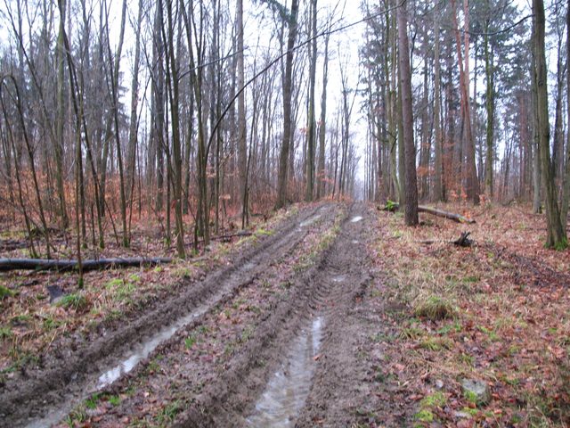 Muddy Road