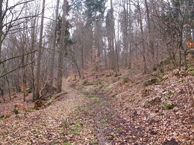 Alter Weg, der entlang der Finsterklinge vom Marsbachtal auf die Höhe führt