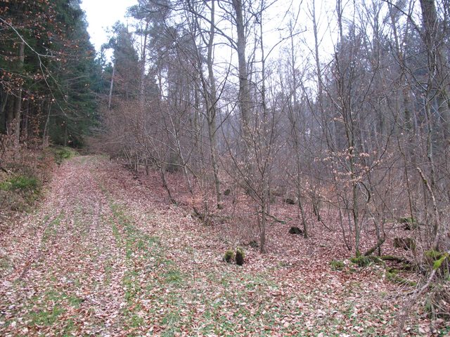 Die alte Steige, die direkt am Osthang der Finsterklinge runter ins Marsbachtal führt