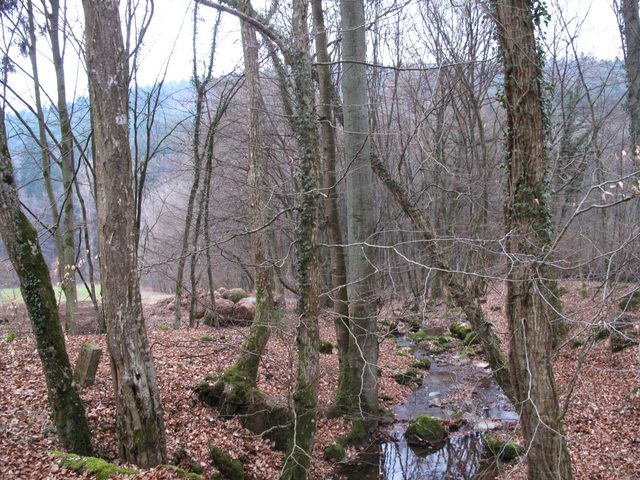 Bemalter Stein am Ende der Finsterklinge im Marsbachtal
