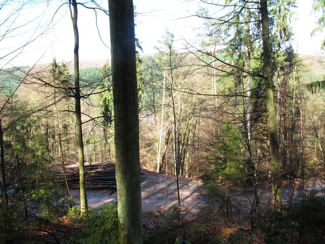 Am kleinen Graben zwischen Scheidberg und Gehacktem Berg