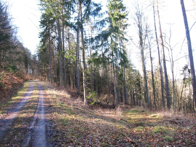 Am Gehackten Berg