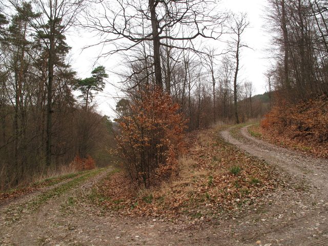 Weggabelung am steilen Eichelsberg direkt oberhalb der Spritzenmühle
