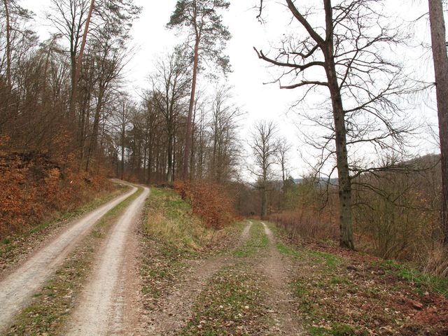 Große Weggabelung am steilen Hang von der Guggenberger Höhe runter ins Kaltenbachtal (Rödeltal)