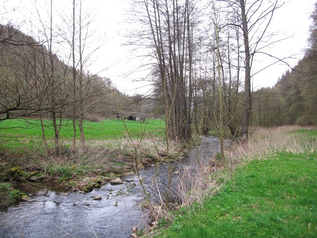 Der Kaltenbach im Rödeltal