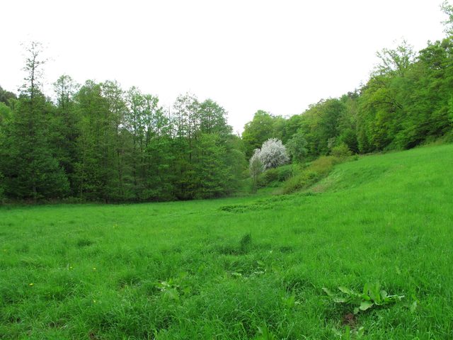 Im wilden Eichelbachtal
