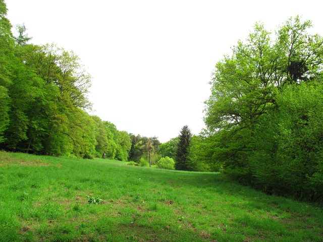 Waldweg im Eichelbachtal am Fuße der Guggenberger Höhe