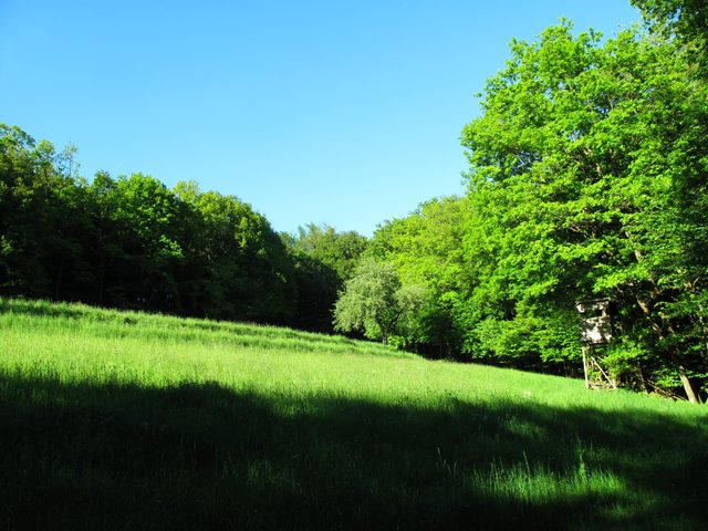 Alter Weg (oben) durchs Haag zur Schulzenmühle