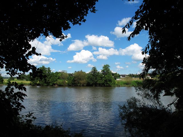 Blick über den Main nach Bettingen
