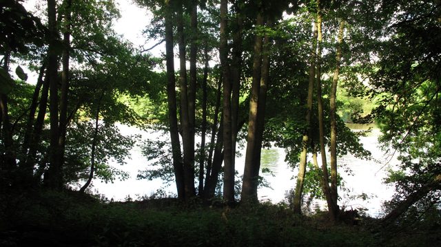 Mainufer am Fuße des hinteren Bergs